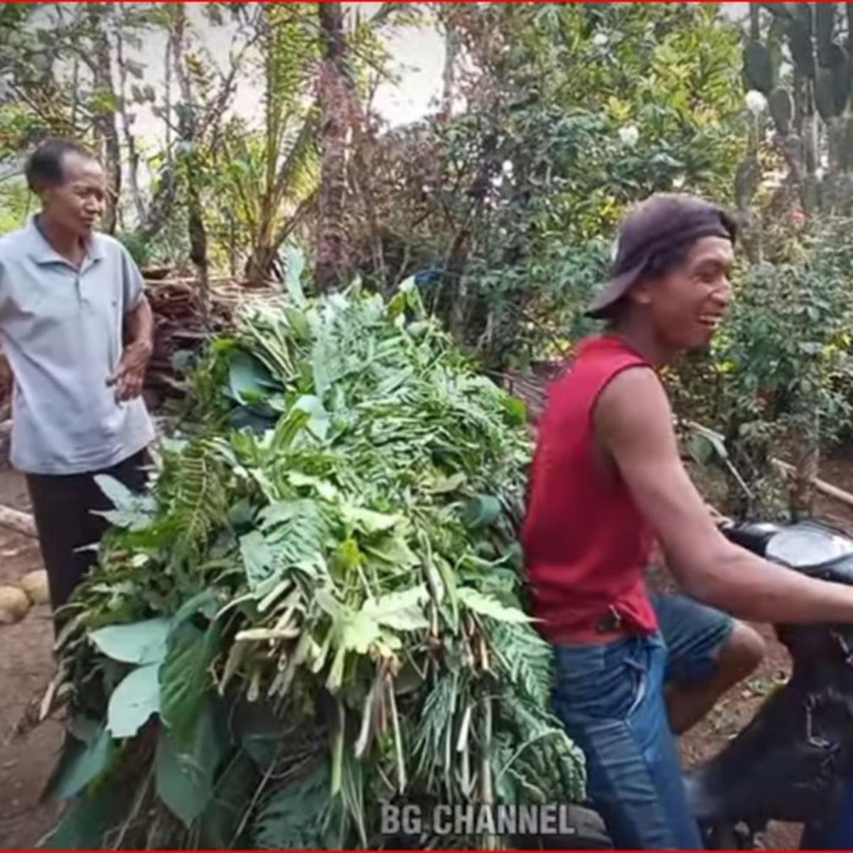 Pria Banjarnegara ini nekat tinggal di tengah hutan