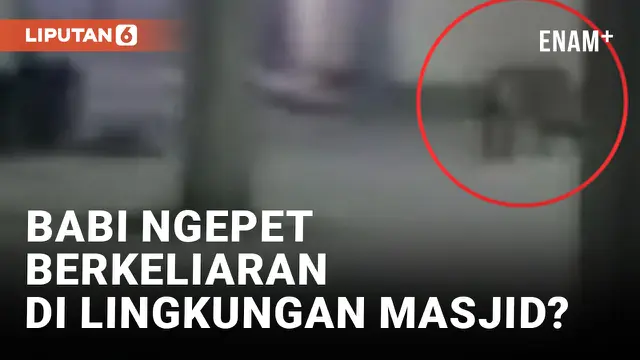 Viral! Babi Ngepet Dinarasikan Berkeliaran di Depan Masjid di Bekasi