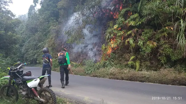 Kebakaran hutan di Gunung Petarangan, Dieng, Jawa Tengah begitu cepat menyebar. (Foto: Liputan6.com/SRU RAPI BNA/Muhamad Ridlo).