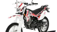 Viar Cross X 150