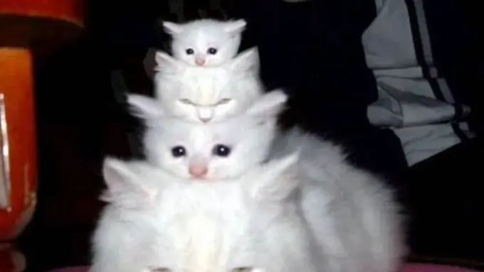 Foto Ini Dijamin Bikin Kamu Tambah Sayang Ibu!