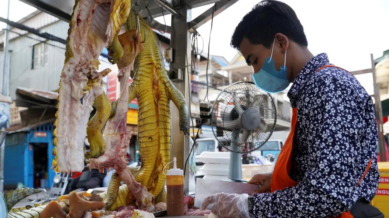 Menu Buaya