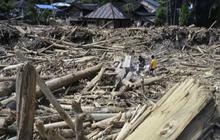 Cerita di Balik Viral Warganet Patungan Beli Hutan: Ekspresi Kekecewaan Masyarakat, Pemerintah Telah Gagal