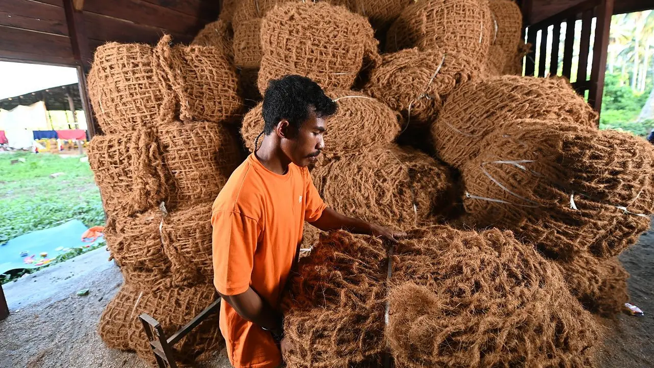 Sinergi Antam Bersama Petani Kelapa Halmahera Timur Sukses Hasilkan Coconet