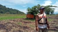 Yosafat, salah satu petani jagung di Desa Tonusu yang mengaku lahannya terdampak luapan Danau Poso akibat pembendungan untuk proyek PLTA, Poso Energy. (Foto: Heri Susanto/ Liputan6.com).