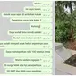 Viral Chat Anak SD Pamer Nilai ke WhatsApp Ibu yang Telah Meninggal Ini Bikin Haru (sumber: Twitter/takseiman)