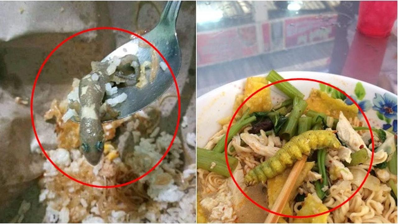 7 Potret Hewan Aneh Terselip di Makanan, Bikin Jijik