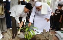 Cara Menanam Kemang di Pekarangan Rumah agar Tumbuh Sehat dan Cepat Berbuah