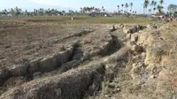 Lahan pertanian di Desa Lero, Sigi yang rusak terdampak gempa dan kekeringan, Selasa (18/2/2020). (Foto: Liputan6.com/ Heri Susanto)