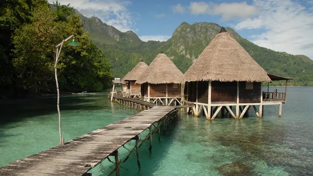 [Bintang] Maluku