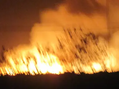 Ctizen6, Probolinggo: Kebakaran terjadi di pabrik kayu Kutai Timber Indonesia (KTI), Kamis malam (4/8). Hingga dini hari tadi, belum ada yang tahu penyebab terjadinya kebakaran, korban jiwa, ataupun besar kerugian yang ditanggung KTI.(Pengirim: Dhevina)