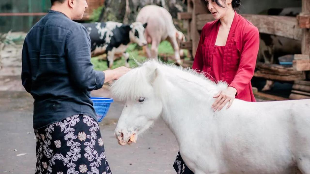 Maudy Koesnaedi Seru-Seruan di Aviary DeHakim, Kenalan dengan Salsa si Sapi hingga Kagum dengan Hutan Mini di Tengah Kota!