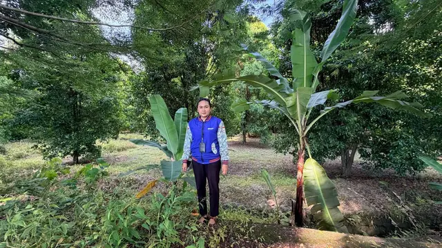 Kartini Masa Kini di Sulawesi Tenggara, Kisah Mantri BRI Menembus Pegunungan Demi Gerakkan Ekonomi Desa