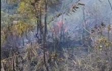 Fakta Unik: Satu Hektare Hutan Lindung Terdampak Karhutla Padangsidimpuan, Bagaimana Penanganannya?