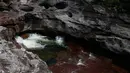 Sejumlah warna di Sungai Cano Cristales terlihat di Taman Nasional Sierra de La Macarena, provinsi Meta, Kolombia (27/9). Keindahan Sungai ini karena tanaman ganggang warna-warni yang  menghiasi dasar sungai. (AFP PHOTO/John Vizcaino)