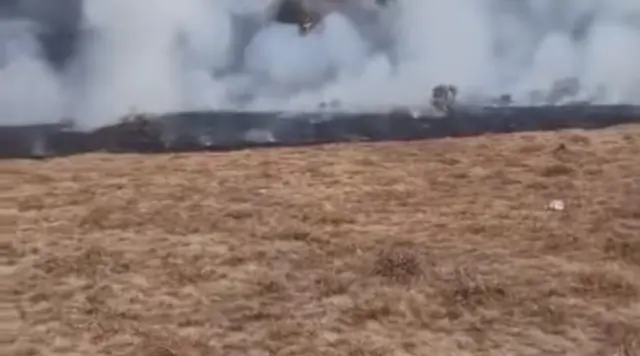 Tiga Jam Melawan Amukan Api di Gunung Gede, Bara Masih Mengintai