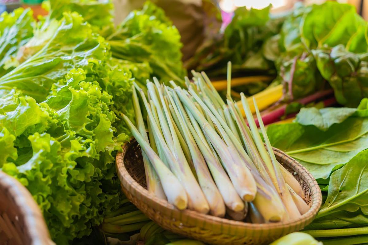 Serai Dapur (Lemongrass)