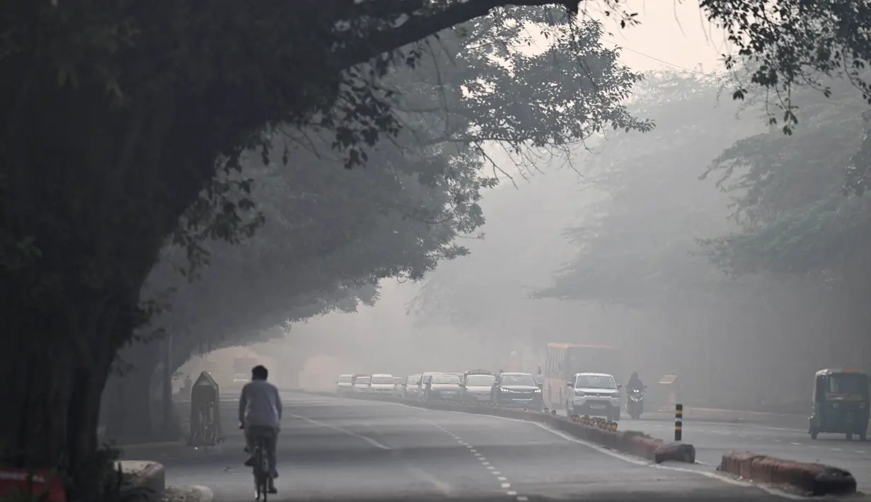 New Delhi India memiliki angka indeks kualitas udara (AQI) sebesar 420 yang menempatkannya dalam kategori berbahaya. (Sajjad HUSSAIN/AFP)