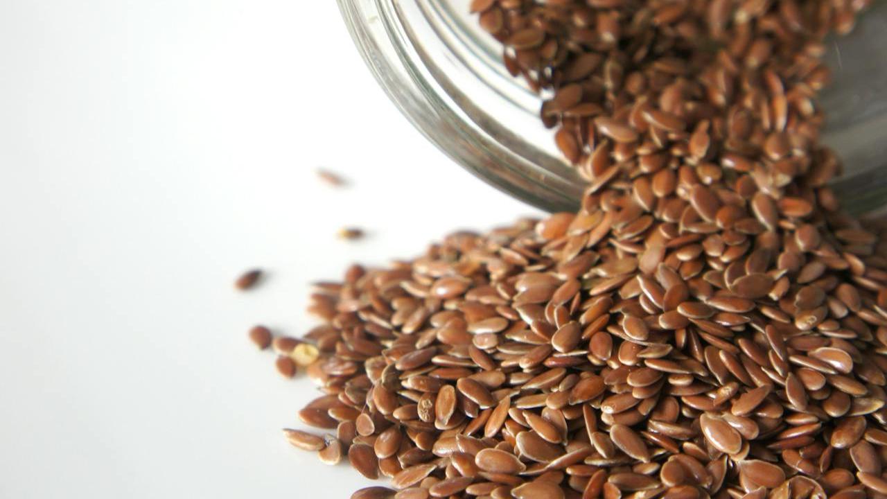 Ilustrasi Flax Seeds