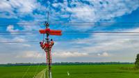 Petugas PLN dalam keadaan bertegangan melakukan pemeliharaan tenaga listrik jaringan 20 kiloVolt tanpa padam di Indramayu, Jawa Barat. (Dok PLN)
