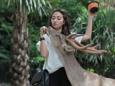 Masih sangat muda, Naomi merupakan artis kelahiran 20 September 1996. Gaya liburan Naomi yang simpel dan sesuai usia selalu berhasil bikin netizen gemas, salah satunya saat di Bali Zoo. (Liputan6.com/IG/@naonomnom)