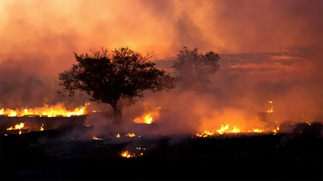 Foto : copyright listverse.com