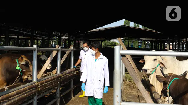 Persiapan Rumah Pemotongan Hewan