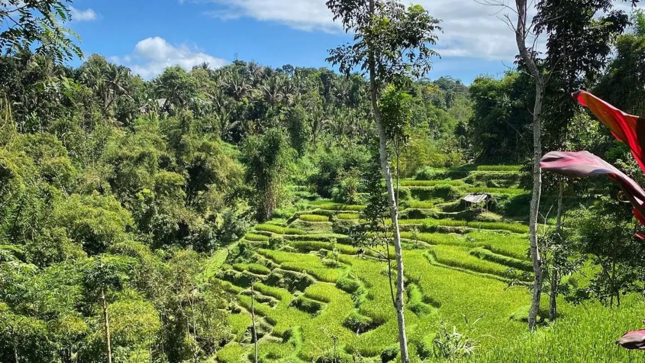 Wisata NTB