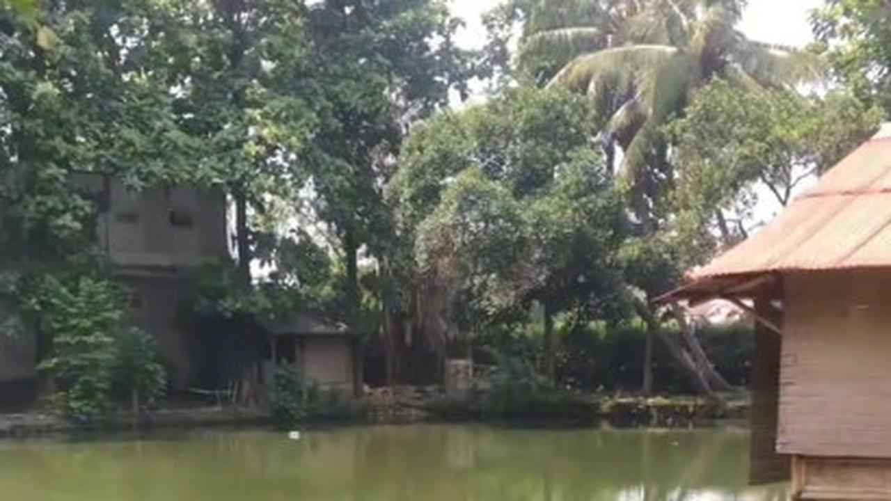 Viral Aksi Damkar Evakuasi Ikan Aligator di Kolam Sekolahan, Curi Perhatian