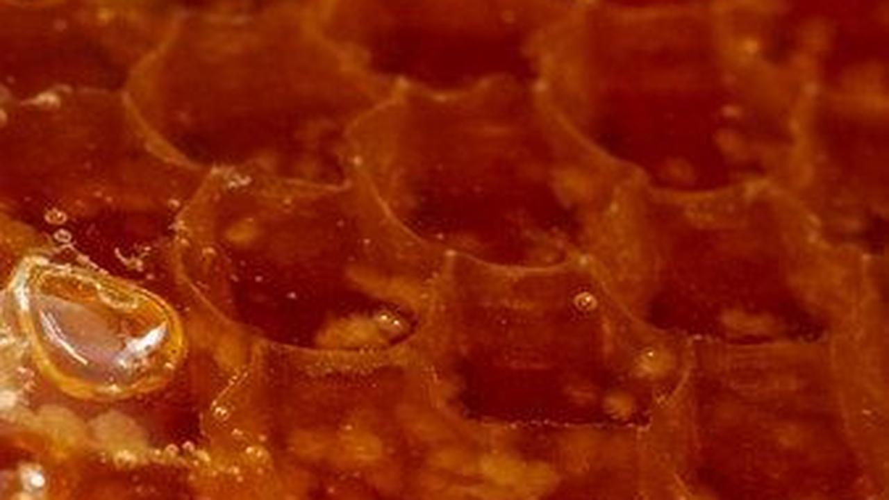 Dengan memahami manfaat sarang madu, Anda dapat mengintegrasikannya ke dalam pola makan sehat Anda untuk mendukung kesehatan tubuh secara menyeluruh.