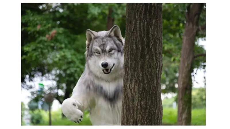 Bermimpi Jadi Serigala, Pria Ini Rela Beli Kostum Realistis Seharga Rp 350 Juta