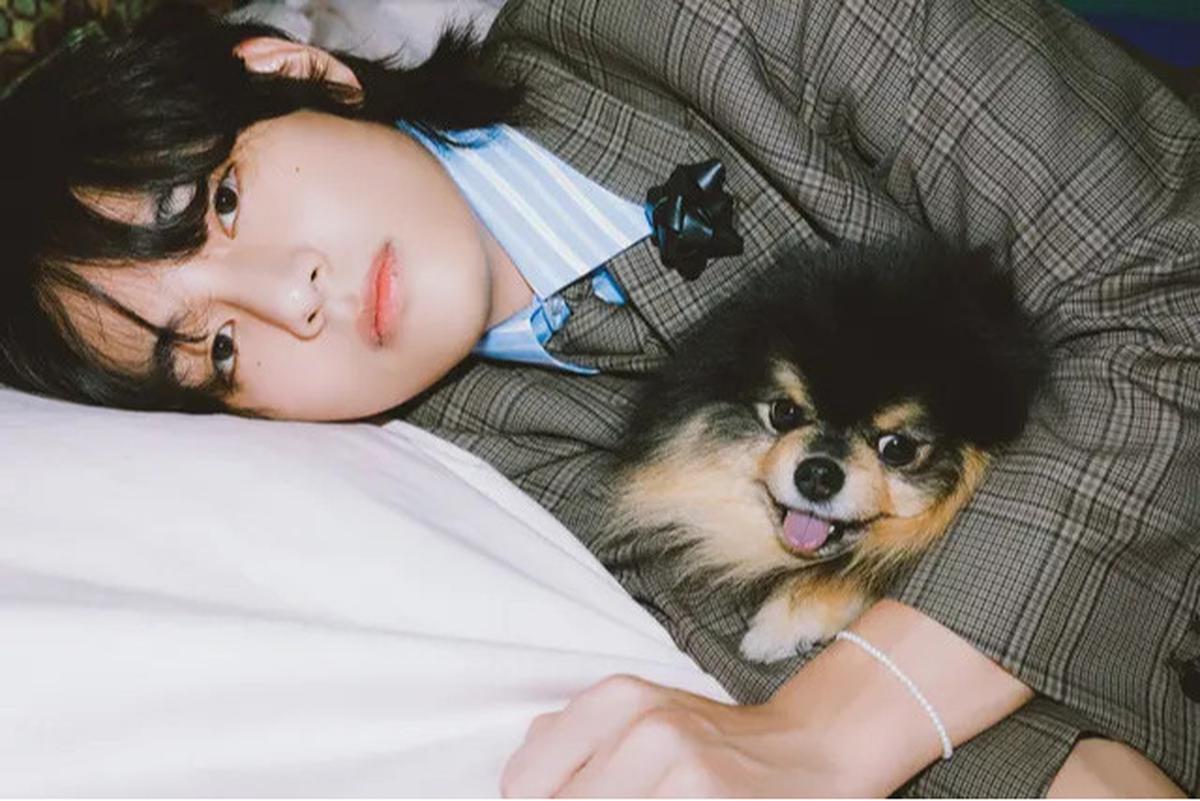 6 Potret Kenangan Yeontan dengan V BTS, Saat Diadopsi hingga Tampil dalam Teaser Lagu di Pengujung Usianya