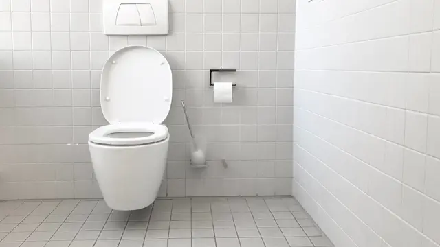 toilet