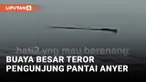 Objek Diduga Buaya Besar Gegerkan Pantai Anyer