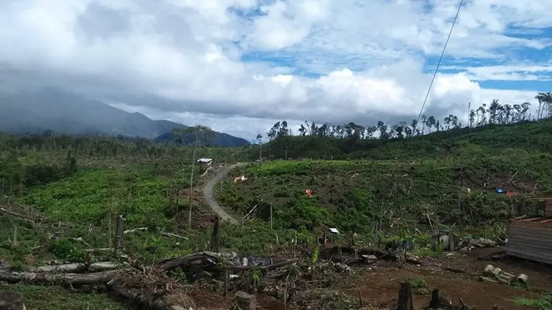 Taman Nasional Kerinci Seblat