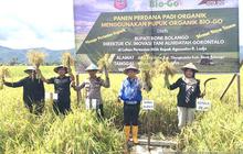 Gratis? Bone Bolango Dukung Pemanfaatan Pupuk Organik untuk Pertanian Berkelanjutan