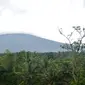 Gunung Slamet dilihat dari Baturraden, Banyumas. (Foto: Liputan6.com/Muhamad Ridlo)