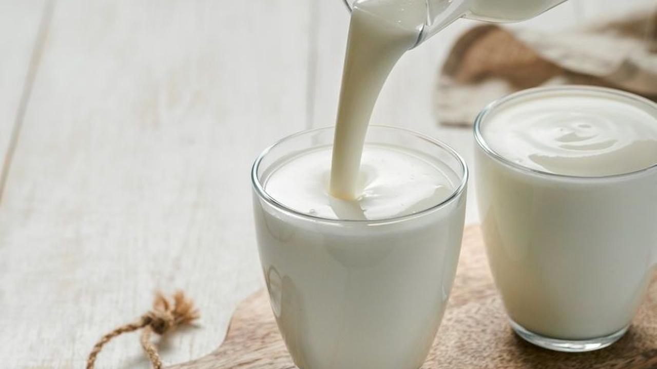 Kandungan Susu Sapi