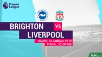 Premier League Brighton and Hove Albion Vs Liverpool (Bola.com/Adreanus Titus)
