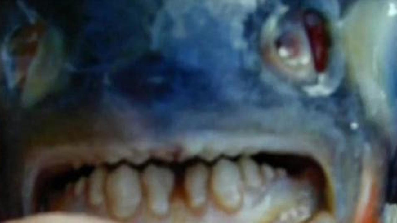 Ikan pemakan testis ditemukan di Amerika