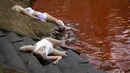 Orang-orang berbaring di tanah untuk melambangkan mereka yang tewas dalam perang di Ukraina selama protes terhadap invasi Rusia, di dekat kolam berwarna merah untuk menandakan darah di depan kedutaan besar Rusia di Vilnius, Lithuania, Kamis (7/4/2022). (AP Photo/Mindaugas Kulbis)