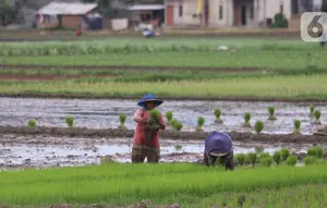 BPS: Sektor Pertanian Terbanyak Serap Tenaga Kerja