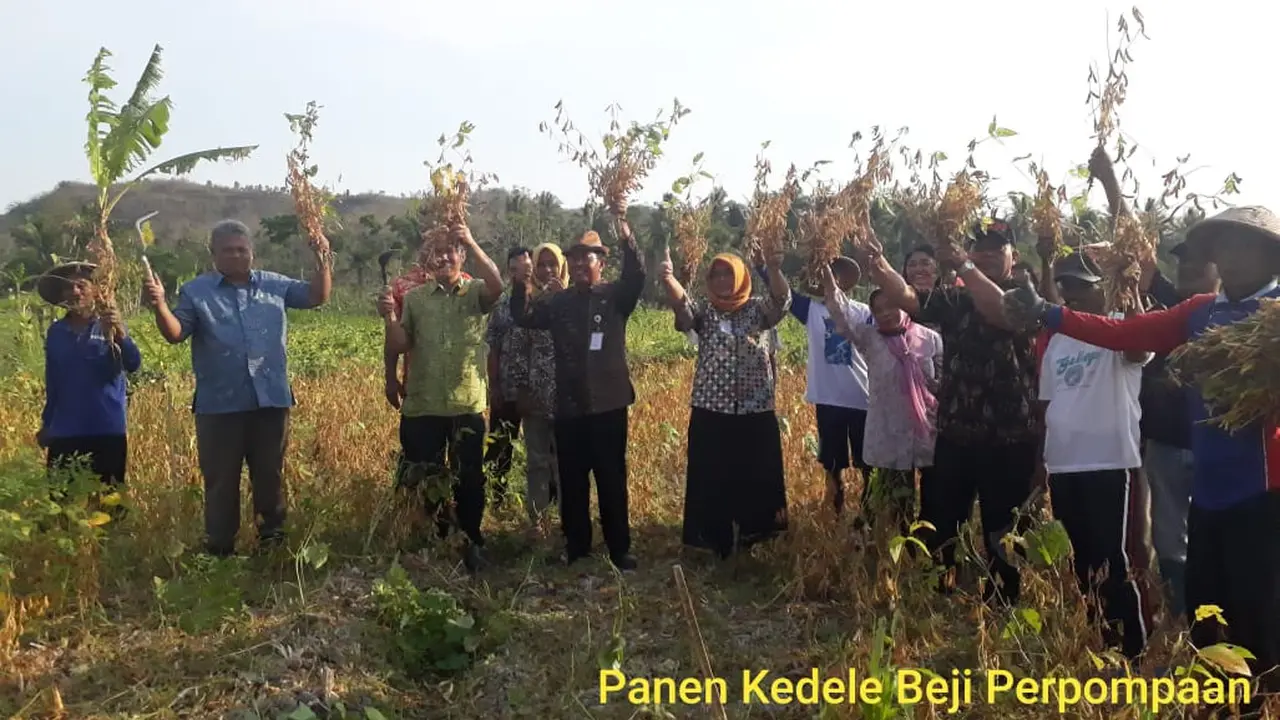 Kemarau Panjang, Lahan Kedelai Gunungkidul Tetap Teraliri Air