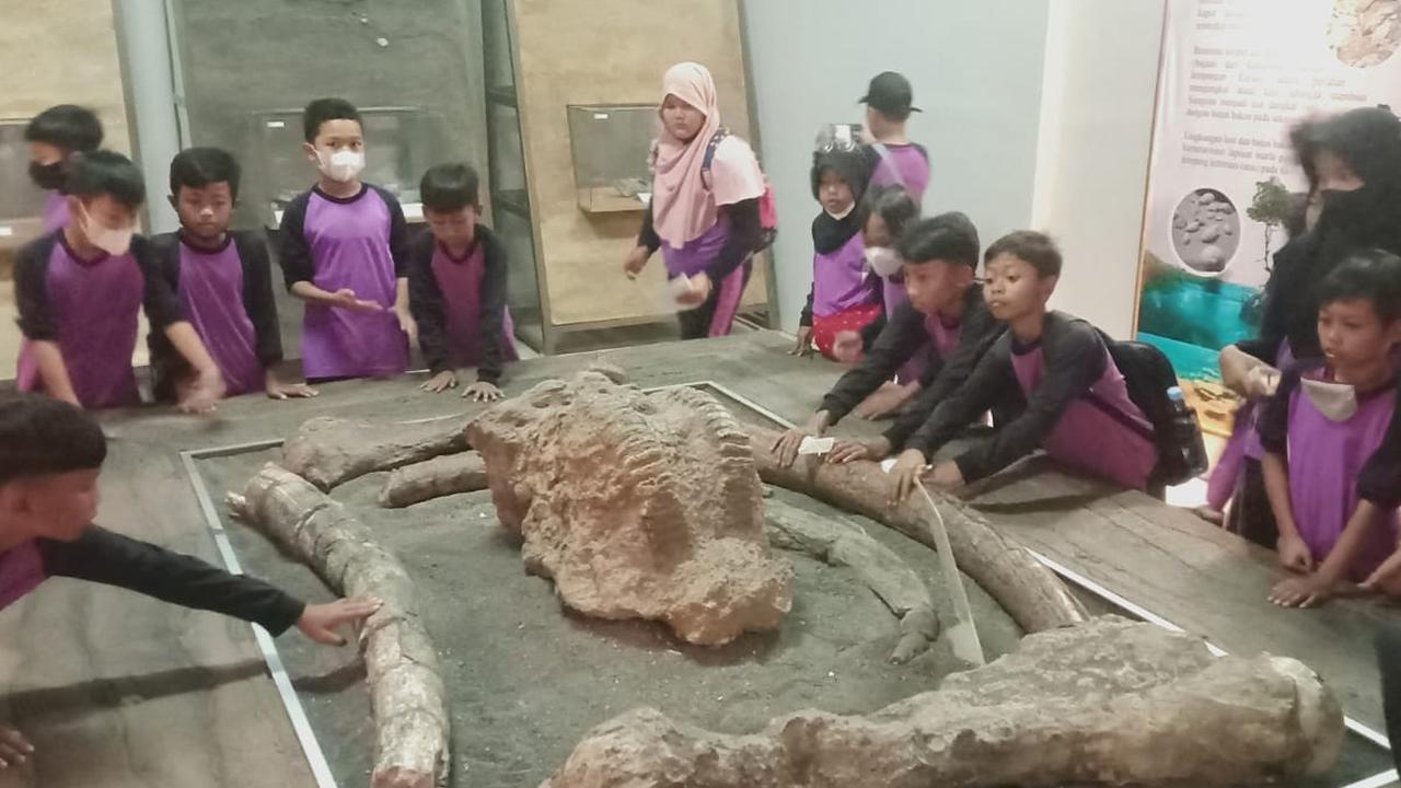 Fosil Gajah Purba Sangiran