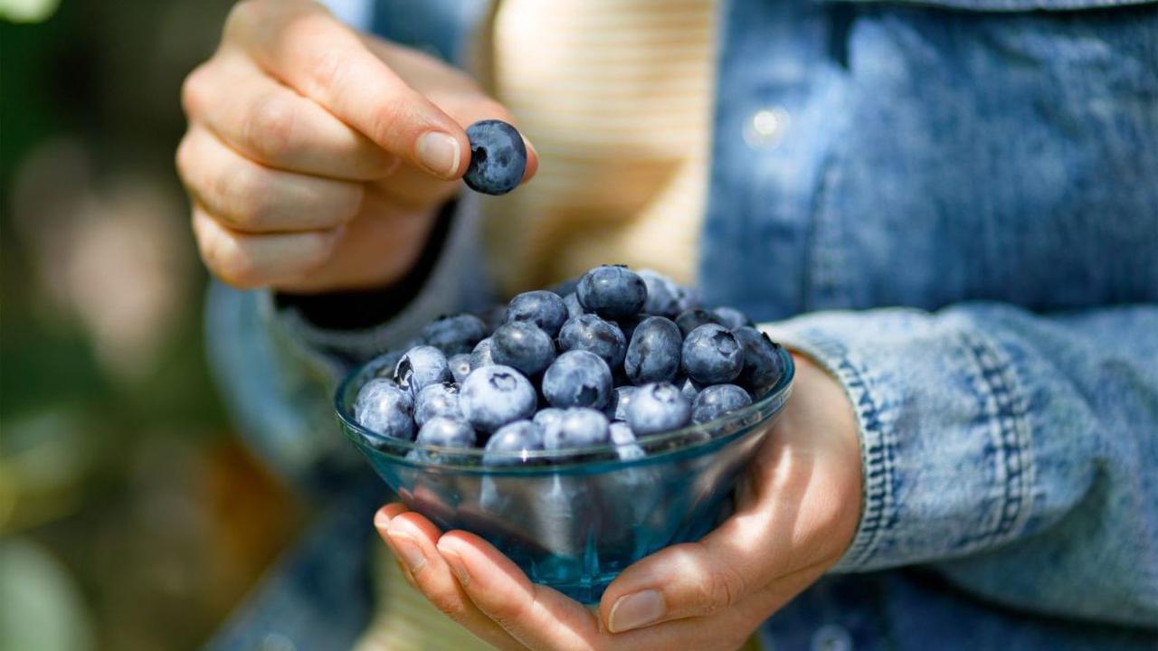 <b>Blueberry</b><br>