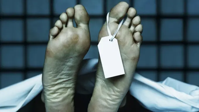 Foto: copyright shutterstock.com
