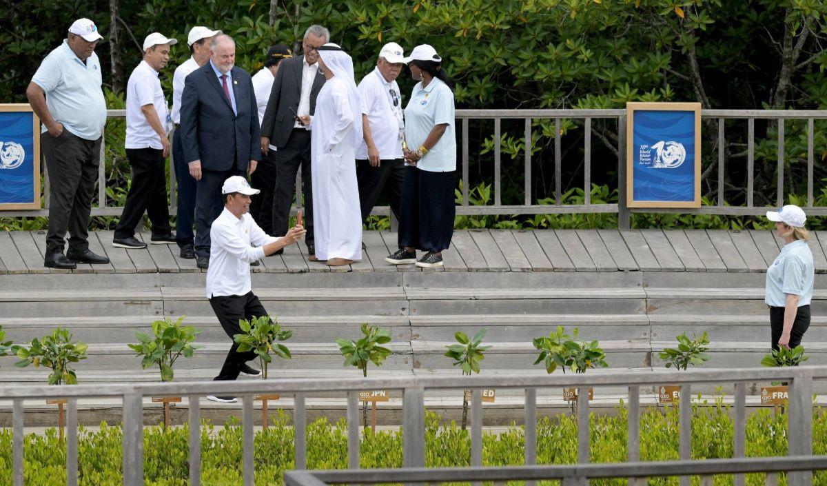 Saat itu Jokowi mengajak delegasi KTT Word Water Forum untuk melihat persemaian dan pembibitan tanaman mangrove di Tahura Ngurah Rai Bali.&nbsp;