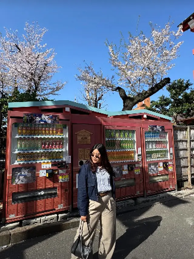 Artis Berburu Sakura ke Jepang