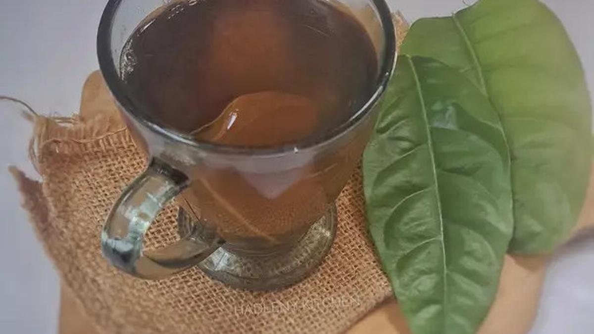Cara Merebus Daun Salam yang Ampuh Turunkan Kolesterol Tinggi, Simak Selengkapnya