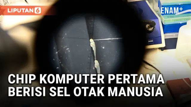 VIDEO: Sel-Sel Otak yang Digunakan dalam Chip Komputer Pertama di Dunia